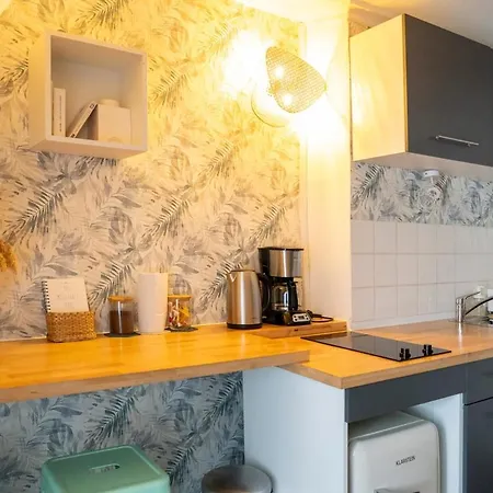 Petit Cocon Hyper Bien Place דירה קאין