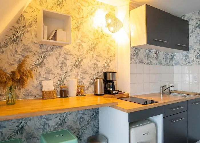 Petit Cocon Hyper Bien Place דירה קאין